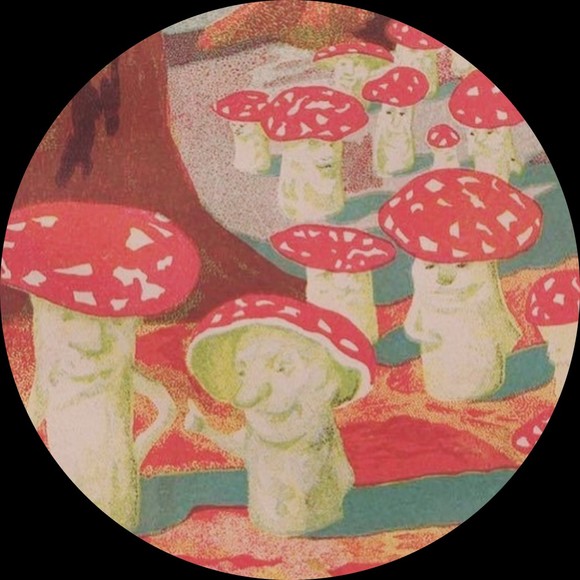 zel0208